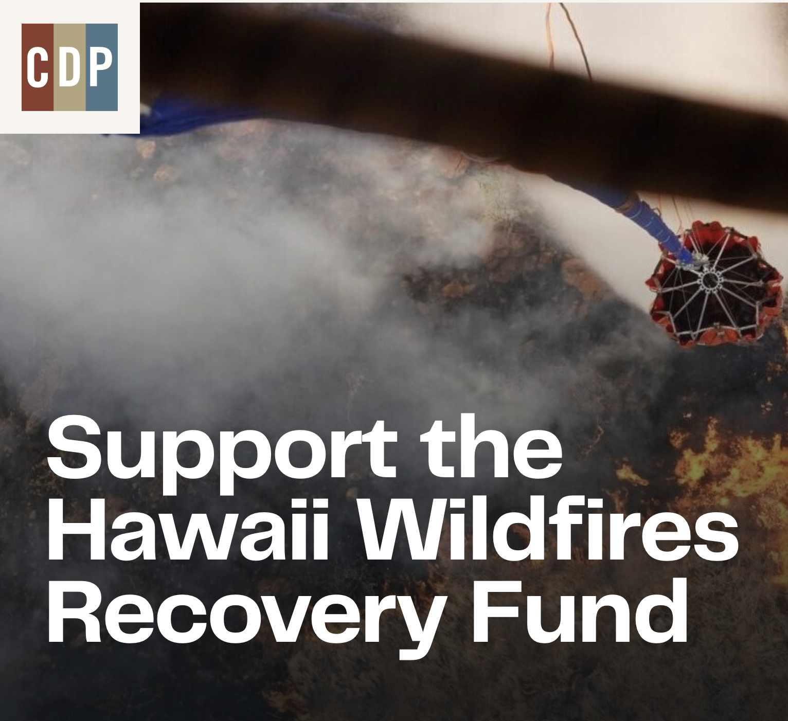 Support Hawaii Wildfires Recovery Fund
