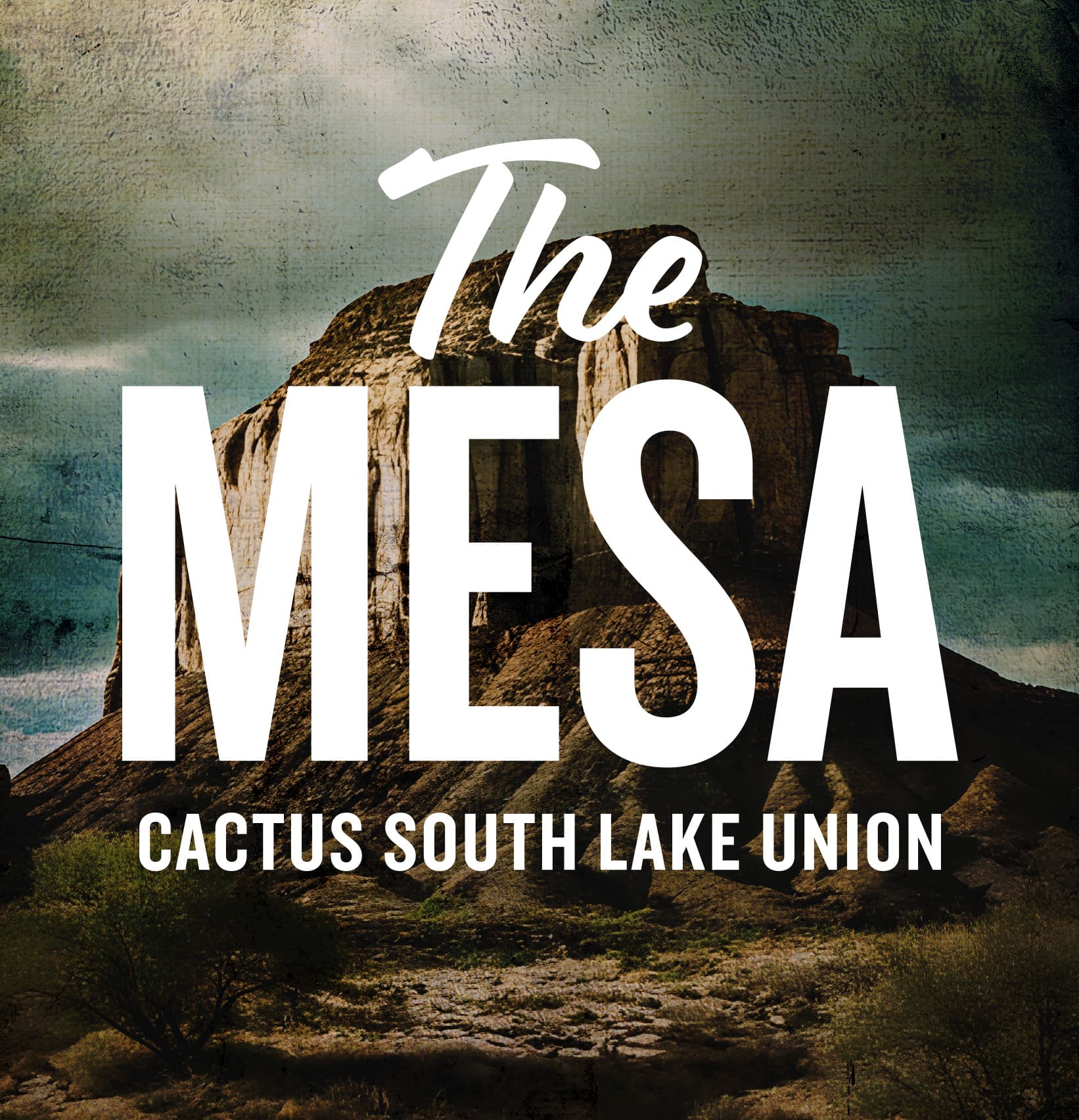 The Mesa : Cactus South Lake Union